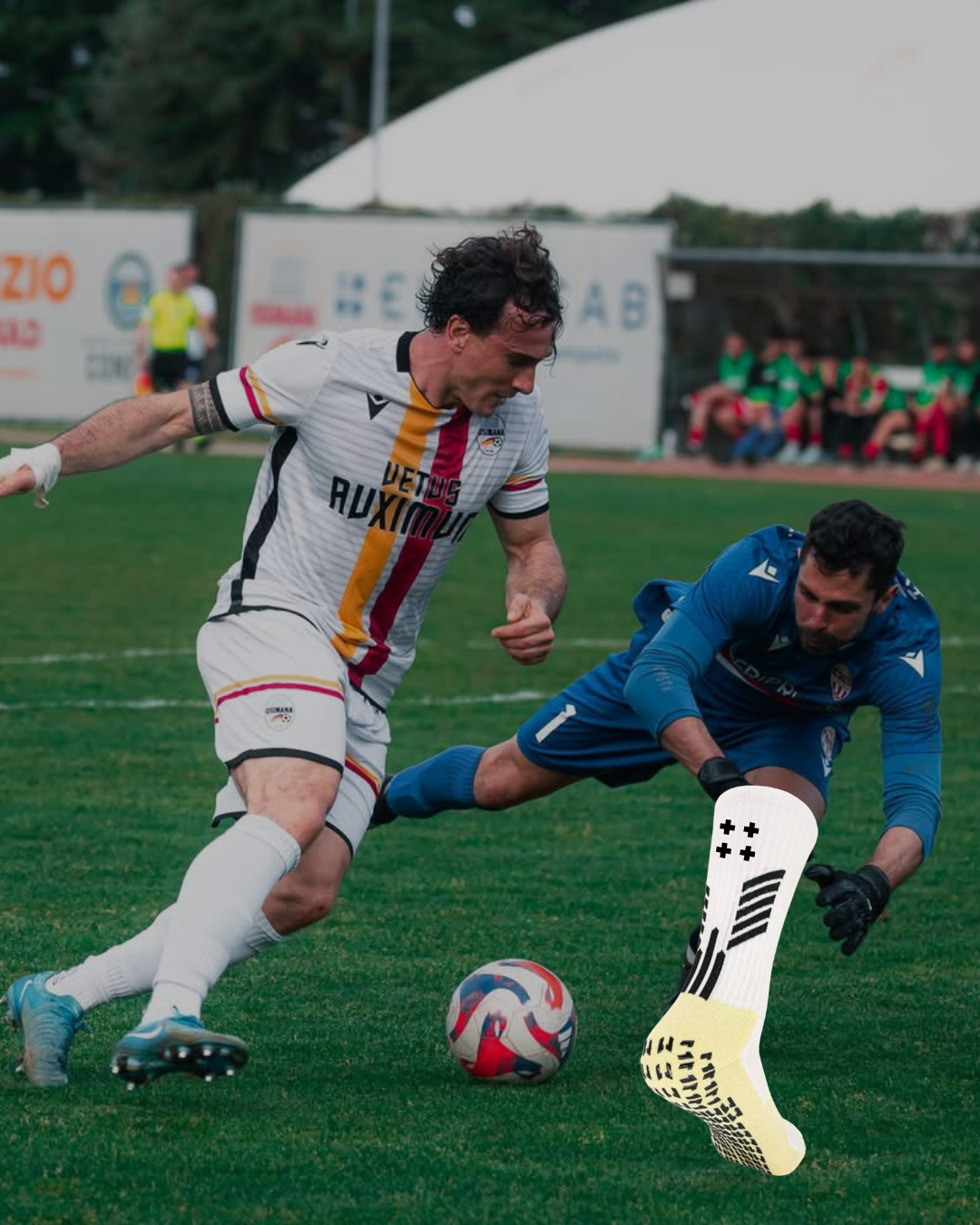 PERFORMANCE SOCKS WHITE